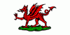 Old Style Welsh Flag