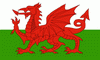 Modern Welsh Flag